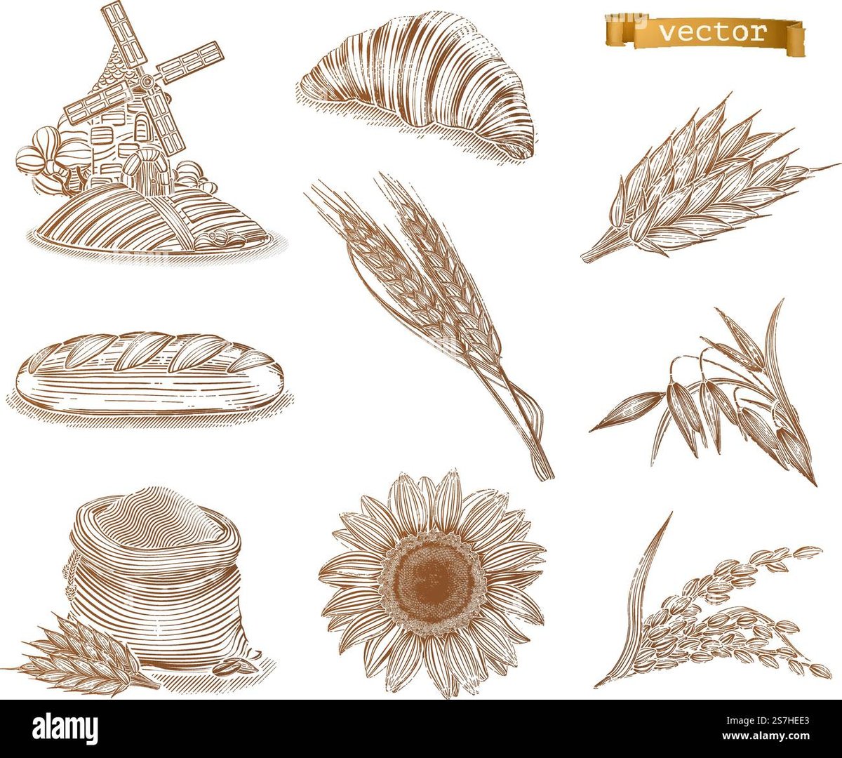 How Old Is Sasuke Uchiha in Chainsaw Man?